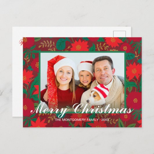 クリスマスフローラレッドポインセチア家族の写真 シーズンポストカード (正面/裏面)