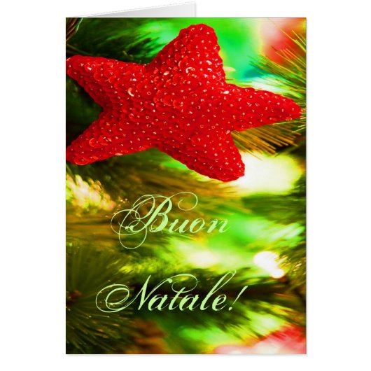 クリスマスブオンナターレレッドクリスマススターII (正面)