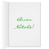 クリスマスブオンナターレレッドクリスマススターII (内側 (右))