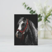 クリスマスブライドル馬 ポストカード (スタンド正面)