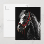 クリスマスブライドル馬 ポストカード (正面/裏面)