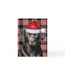 クリスマスブラックラボとレッドホリディプレイド