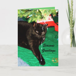クリスマスブラック猫カード シーズンカード