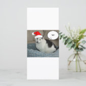クリスマスブラック&ホワイトの子猫 (スタンド正面)