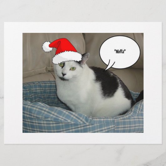 クリスマスブラック&ホワイト子猫 チラシ (正面)