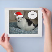 クリスマスブラック&ホワイト子猫 チラシ (手)