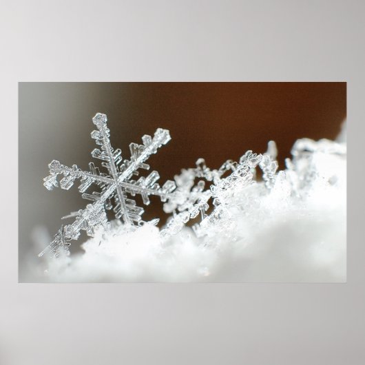 クリスマスブリザード2009 ポスター (正面)