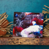 クリスマスブリティッシュブルー フォトプラーク (側面)