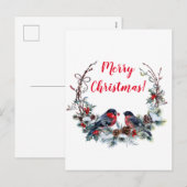クリスマスブルフィンチ シーズンポストカード (正面/裏面)