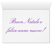 クリスマスブーネフェステナタリジーグリーンスターIII (内部横(下))