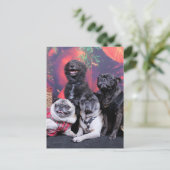 クリスマスプグブルーノパールMs Wiggles - ChiPom Bear シーズンポストカード (スタンド正面)