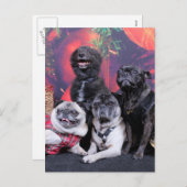 クリスマスプグブルーノパールMs Wiggles - ChiPom Bear シーズンポストカード (正面/裏面)