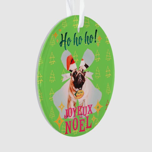 クリスマスプグ オーナメント (正面)