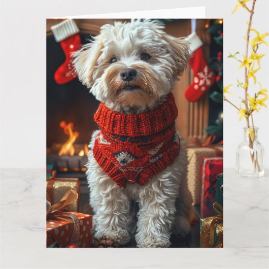 クリスマスプレゼントの暖炉とビションフリーゼ カード (黄色い花)