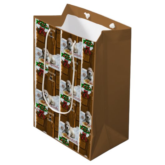 クリスマスプレゼント ミディアムペーパーバッグ (正面アングル)