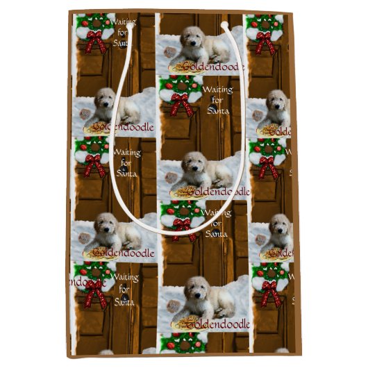 クリスマスプレゼント ミディアムペーパーバッグ (正面)