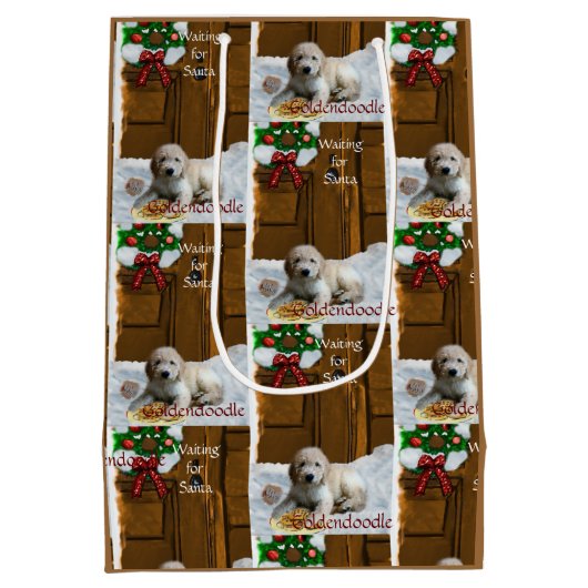 クリスマスプレゼント ミディアムペーパーバッグ (裏面)