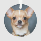 クリスマスプレッドチワホアドッグ名写真 オーナメント (裏面)