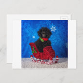 クリスマスプードル シーズンポストカード (正面/裏面)