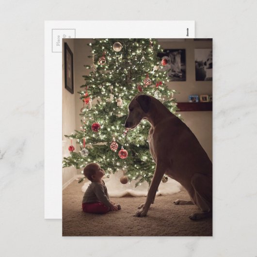 クリスマスベビーと犬最高のの友達 シーズンポストカード (正面/裏面)