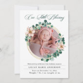 クリスマスベビーユーカリプトゥスポインセチア写真 シーズンカード (正面)