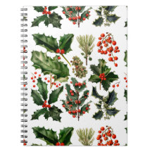 クリスマスベリー葉ホリーズ。クリスマスベリー