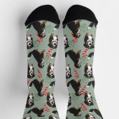 クリスマスベルネーズマウンテンドッグ ソックス (上部)