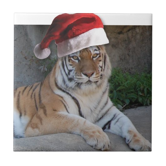 クリスマスベンガルトラ タイル (正面)