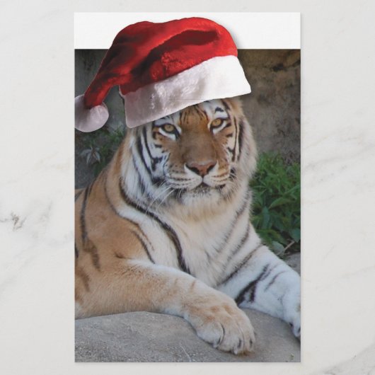 クリスマスベンガルトラ 便箋 (正面)