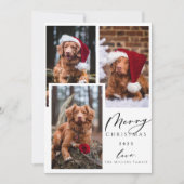 クリスマスペおもしろいットMerry Christmas 3の写真 シーズンカード (正面)