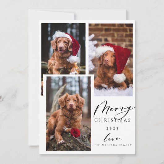 クリスマスペおもしろいットMerry Christmas 3の写真 シーズンカード (正面)