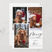 クリスマスペおもしろいットMerry Christmas 3の写真 シーズンカード (正面/裏面)