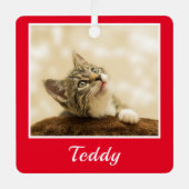 クリスマスペットの写真名 メタルオーナメント (正面)