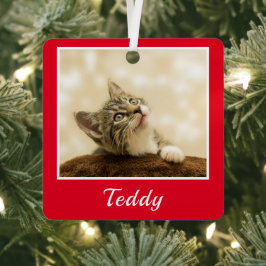 クリスマスペットの写真名 メタルオーナメント