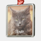 クリスマスペットの写真名 メタルオーナメント (左)