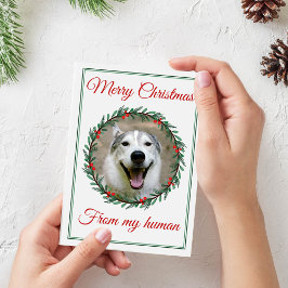 クリスマスペットフォトリース シーズンカード