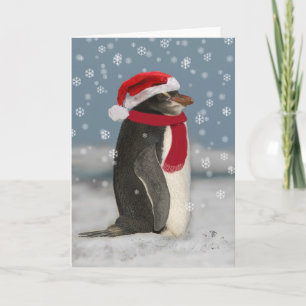 クリスマスペンギン シーズンカード