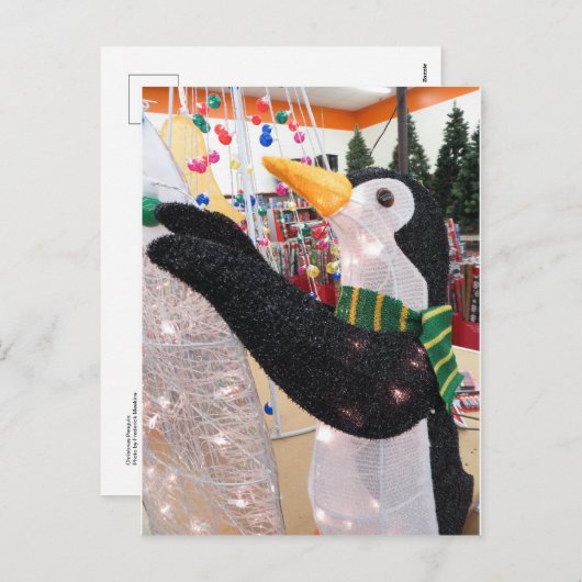 クリスマスペンギン シーズンポストカード (正面/裏面)