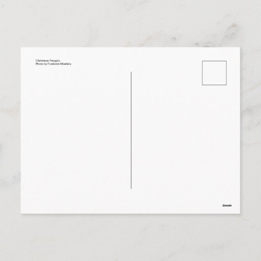 クリスマスペンギン シーズンポストカード (裏面)