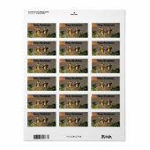 クリスマスペンギン ラベル (フルシート)