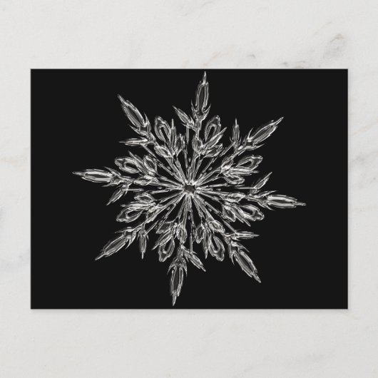 クリスマスホリデーに最適なスノーフレーク シーズンポストカード (正面)