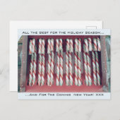 クリスマスホリデーのペッパーミントキャンディーケーン シーズンポストカード (正面/裏面)