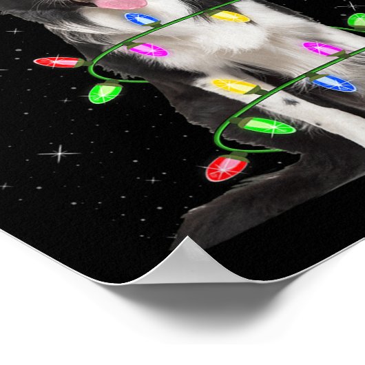 クリスマスホリデーイルミネーションサンタボーダーコリー犬の装飾 ポスター (角)