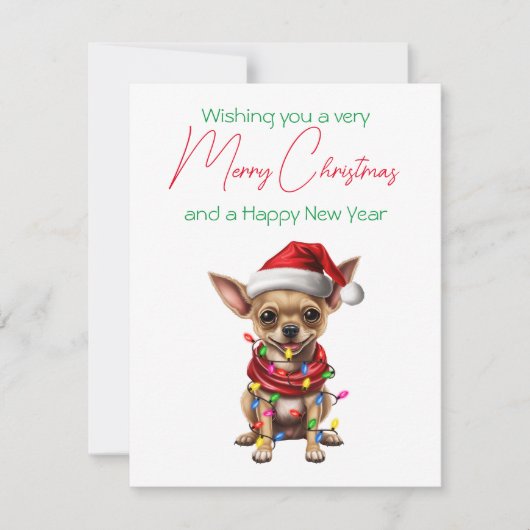 クリスマスホリデーカードドッグインハットチワワ シーズンカード (正面)