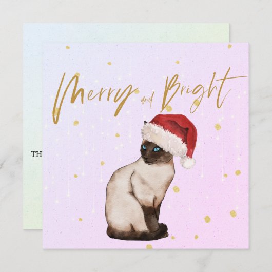 クリスマスホリデーシャメスキャットサンタメリーグリーティング (正面/裏面)