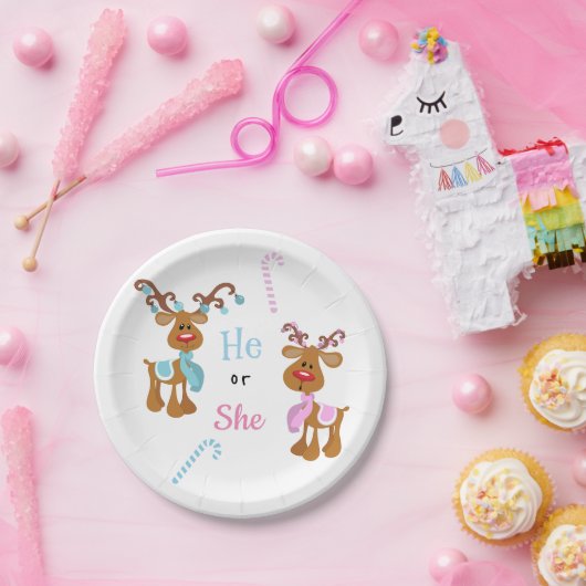 クリスマスホリデージェンダーがトナカイを明かす ペーパープレート (パーティー)