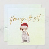 クリスマスホリデージャックラッセルドッググリーティメリーング (正面/裏面)