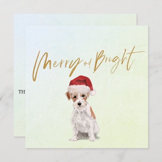 クリスマスホリデージャックラッセルドッググリーティメリーング (正面/裏面)