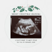 クリスマスホリデーズ超音波ベビーリビール メタルオーナメント (正面)