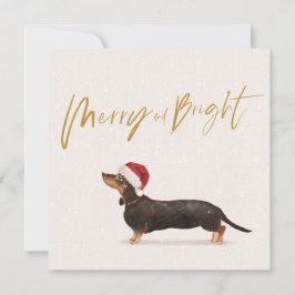 クリスマスホリデーダッシュンドドッググリーティメリーング